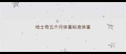 哈士奇五个月体重标准体重