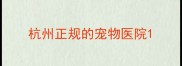 杭州正规的宠物医院