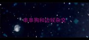 串串狗和边牧杂交