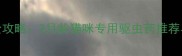 幼猫驱虫全攻略2月龄猫咪专用驱虫药推荐与注意事项