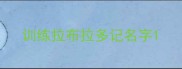 训练拉布拉多记名字