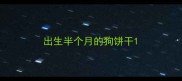 出生半个月的狗饼干