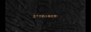 五个月的小体比特