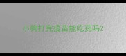 小狗打完疫苗能吃药吗