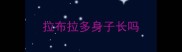拉布拉多身子长吗