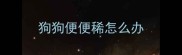 狗狗便便稀怎么办