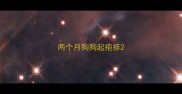 两个月狗狗起疱疹