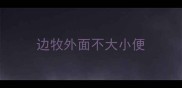 边牧外面不大小便