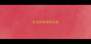 金毛狗粮哪种实惠