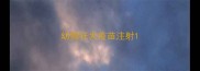幼狗狂犬疫苗注射
