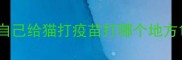 自己给猫打疫苗打哪个地方
