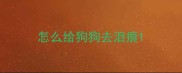 怎么给狗狗去泪痕