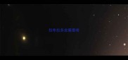 拉布拉多皮癣是啥