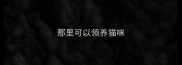 那里可以领养猫咪