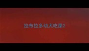 拉布拉多幼犬吃屎
