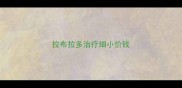拉布拉多治疗细小价钱