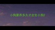 小狗要养多久才会生小狗