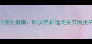 泰迪犬髌骨脱位预防指南科学养护远离关节困扰的6大核心策略