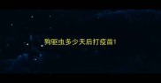 狗驱虫多少天后打疫苗