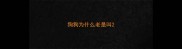 狗狗为什么老是叫