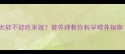 拉布拉多幼犬能不能吃米饭营养师教你科学喂养指南附食谱