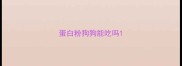 蛋白粉狗狗能吃吗