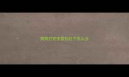狗狗打完疫苗拉肚子怎么办