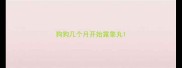 狗狗几个月开始露睾丸