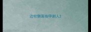 边牧侧面指甲割人