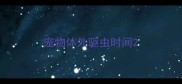 宠物体外驱虫时间