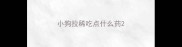小狗拉稀吃点什么药