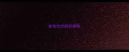 金毛幼犬的的颜色