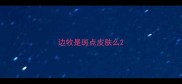 边牧是斑点皮肤么