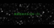 普通泰迪犬多少钱一只