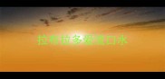 拉布拉多爱流口水