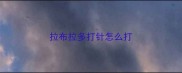 拉布拉多打针怎么打