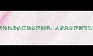 被宠物犬咬伤后的正确处理指南从紧急处理到预防措施全