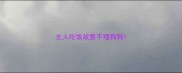 主人吃饭故意不理狗狗