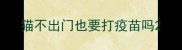 猫不出门也要打疫苗吗