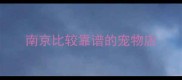 南京比较靠谱的宠物店