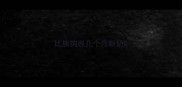 比熊狗崽几个月断奶