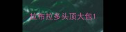 拉布拉多头顶大包