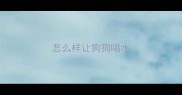 怎么样让狗狗喝水