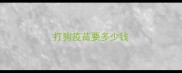 打狗疫苗要多少钱