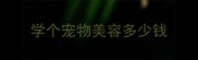 学个宠物美容多少钱