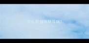 怎么给猫咪除耳螨