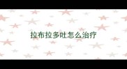 拉布拉多吐怎么治疗
