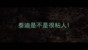 泰迪是不是很粘人