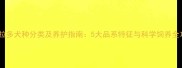 拉布拉多犬种分类及养护指南5大品系特征与科学饲养全攻略