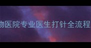 猫主子必须打的疫苗有哪些宠物医院专业医生打针全流程与注意事项附疫苗种类清单